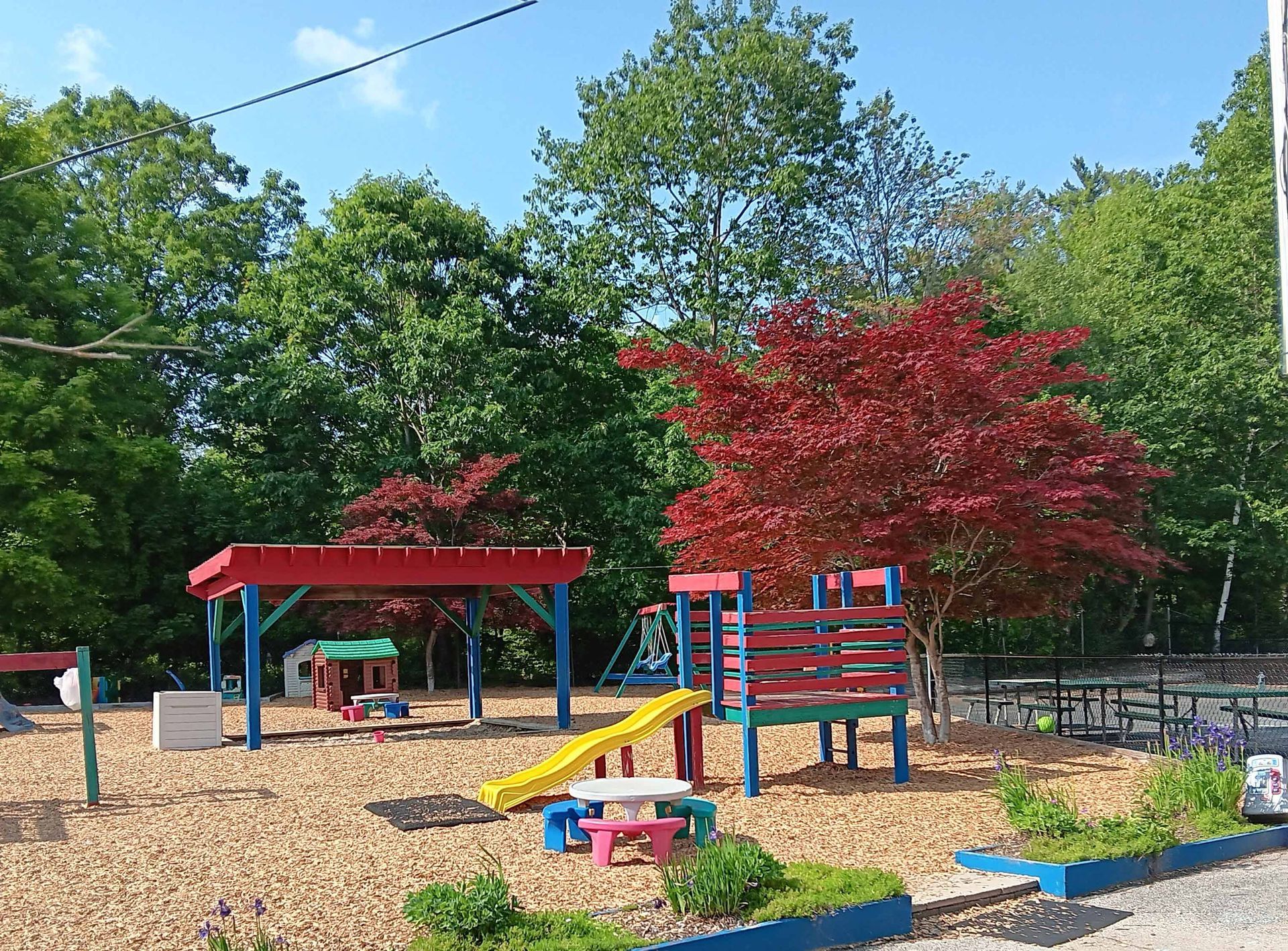 A colorful playground with a red tree in the background.