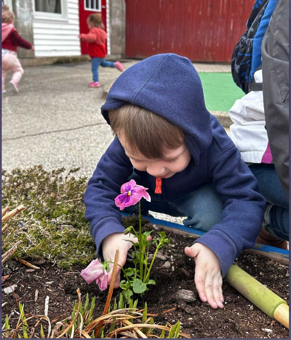 A young boy in a blue hoodie is planting flowers in a garden.