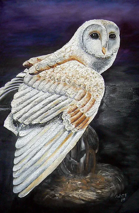 Barn owl with white and tan feathers perched on a dark, textured surface, against a purple night sky.