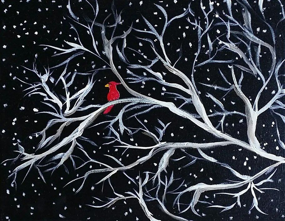 Red cardinal perched on white tree branches against a black snowy background.