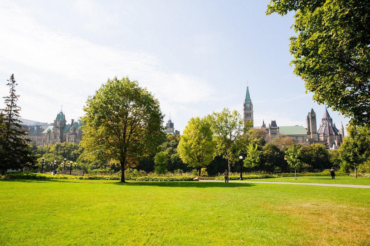 Sunny Day In The Park — Los Angeles, CA — Paint Hive Studio