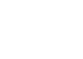 Rockford Ice LLC Logo