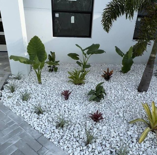 A garden with white rocks and plants in front of a white house