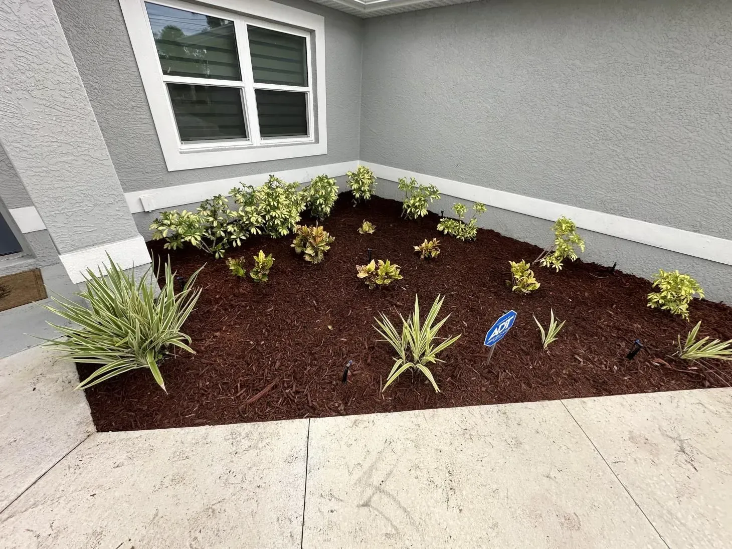 A garden with plants and mulch in front of a house.