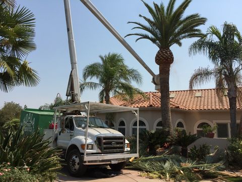 Local Tree Professionals Troy IL - Tree Removal - Arborist