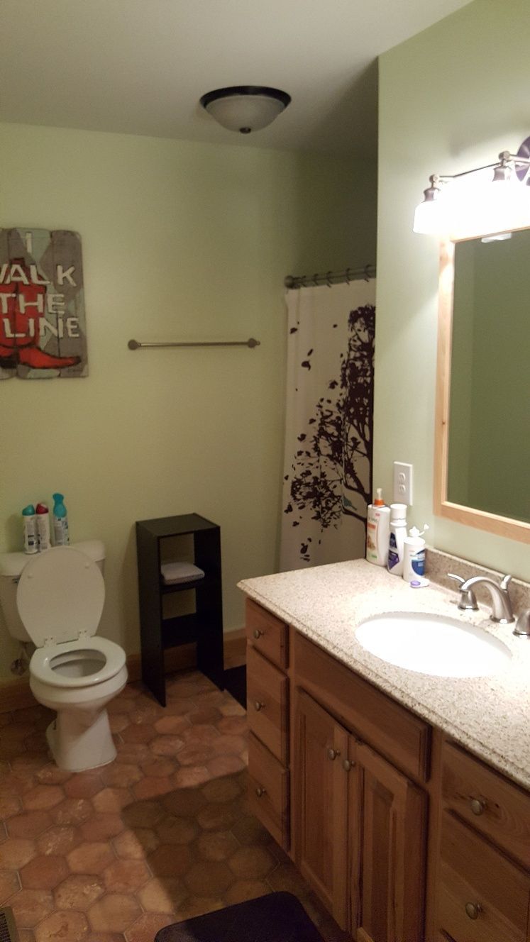 Bathroom with sage green walls, toilet, vanity, and a shower with a tree design curtain.