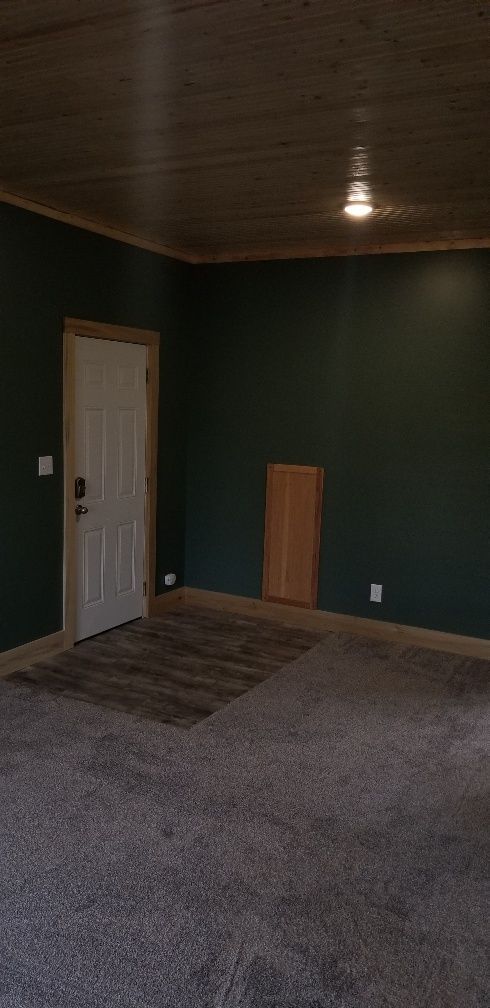 Empty room with dark teal walls, white door, and patterned carpet. A wooden cabinet is inset on one wall.