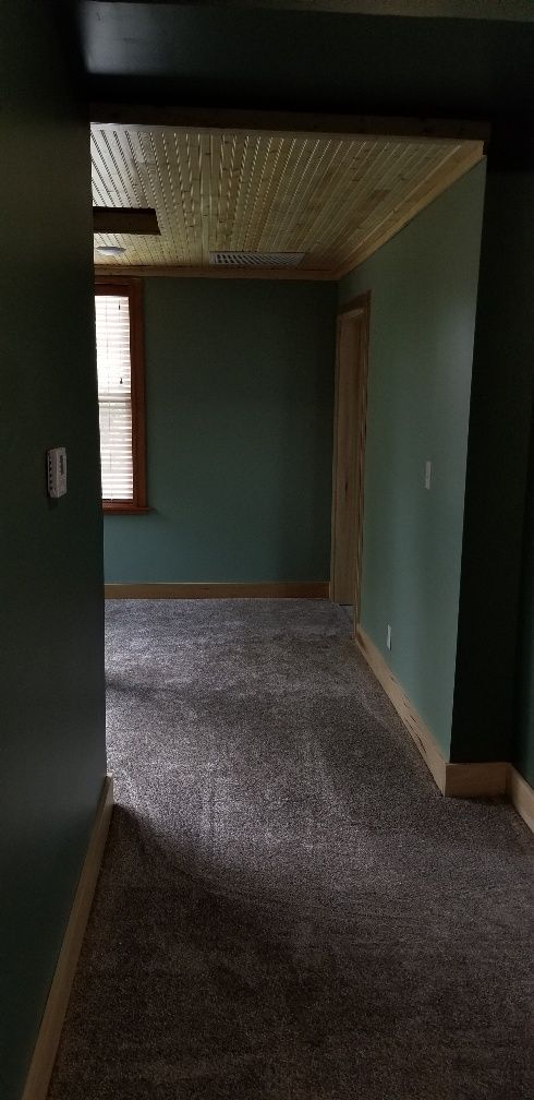 Hallway with dark green walls, patterned ceiling, and carpet.