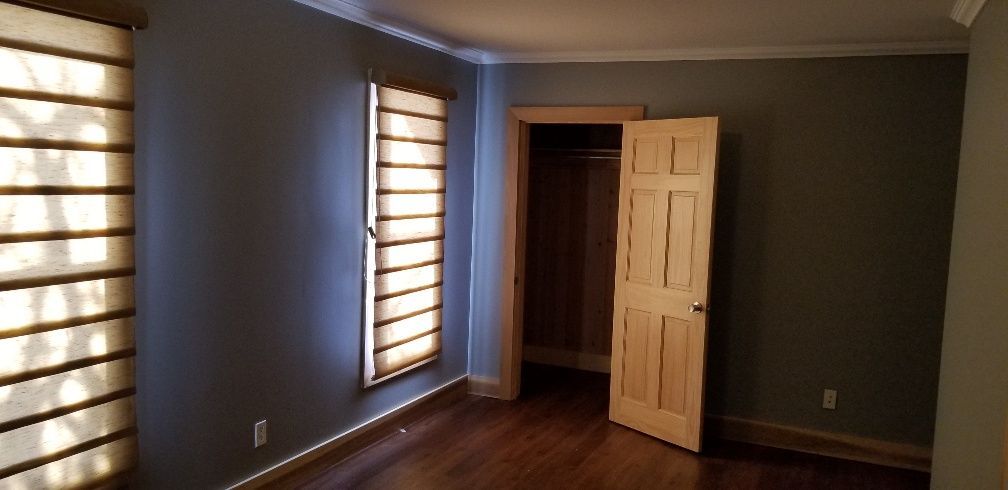 Empty room with dark blue walls, wood floors, and blinds. Open door leads to a closet.