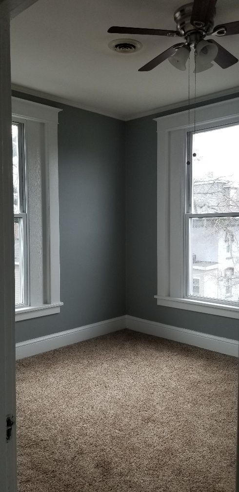 Empty room with gray walls, white trim, two windows, and brown carpet. Ceiling fan.
