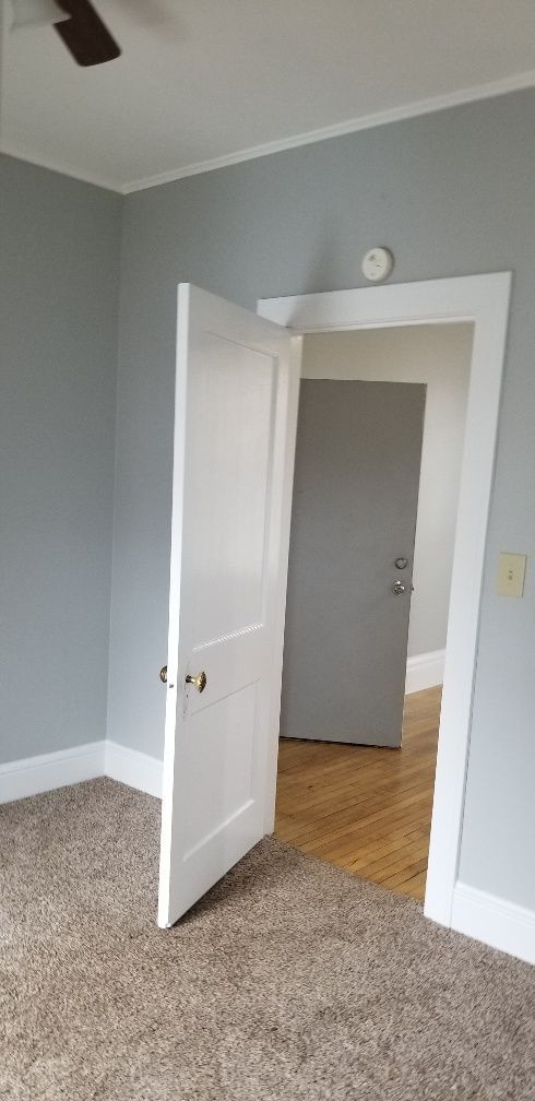 Interior room with an open white door, revealing another door and hardwood floors. Light blue walls, carpeted floor.