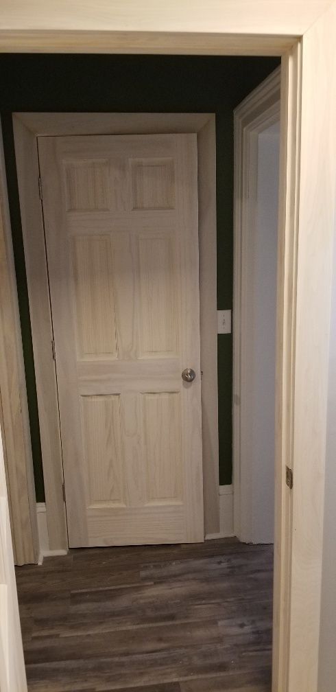 Interior hallway with a closed white door and dark green walls.