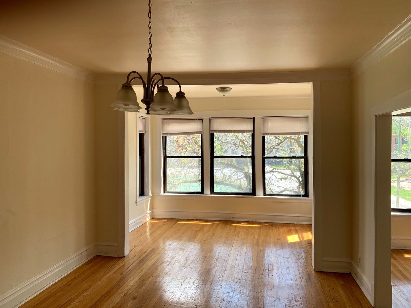 Hardwood floor living room with tall windows