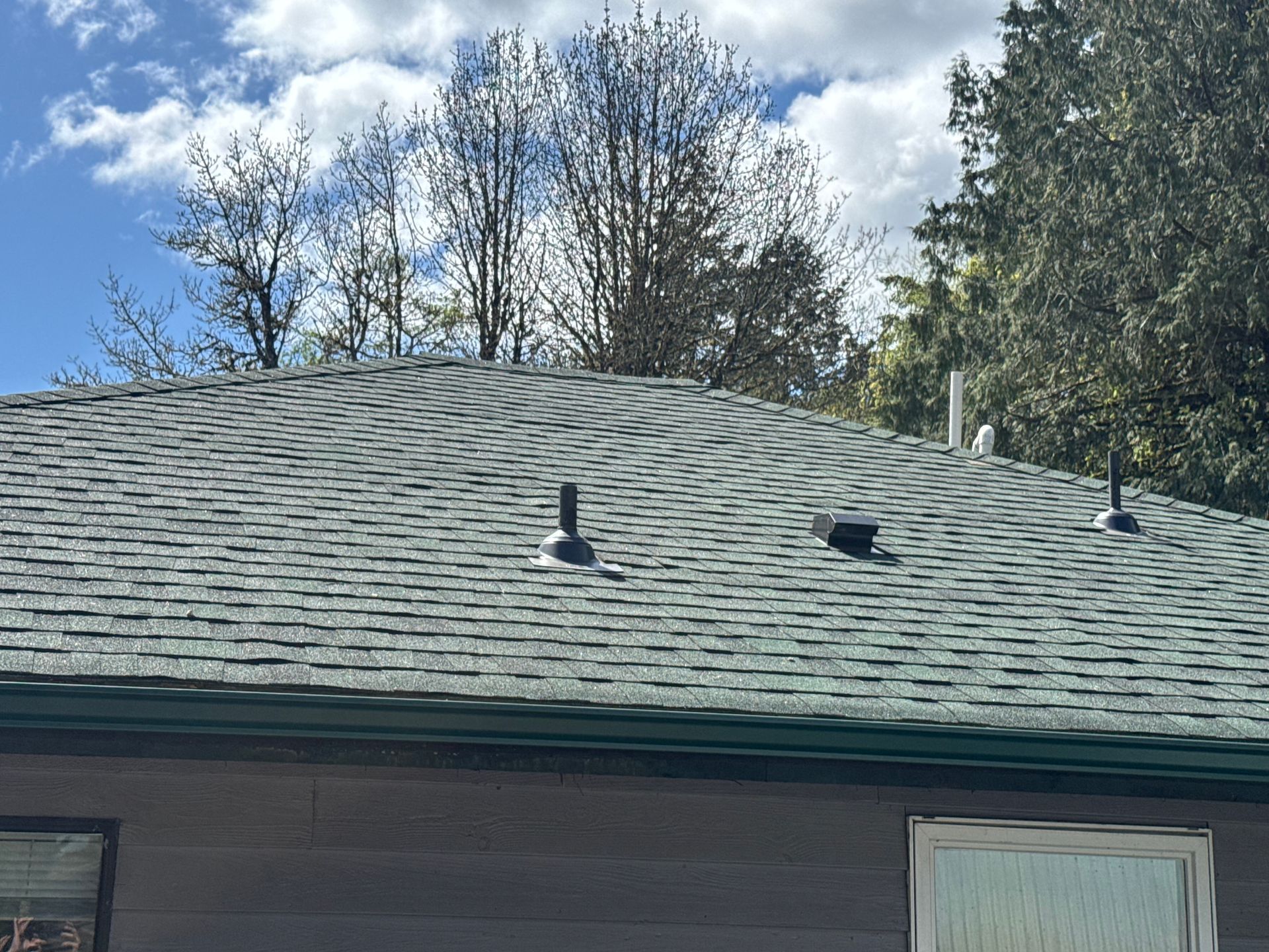 Gray shingled roof with multiple vent pipes against a blue sky, some trees are in the background.