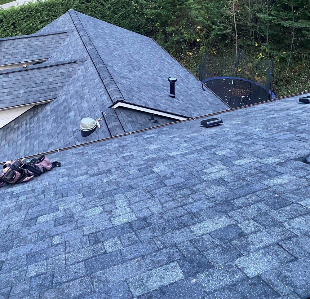 Overhead view of a blue-gray shingled roof with a chimney and vents, with a trampoline visible in the background.