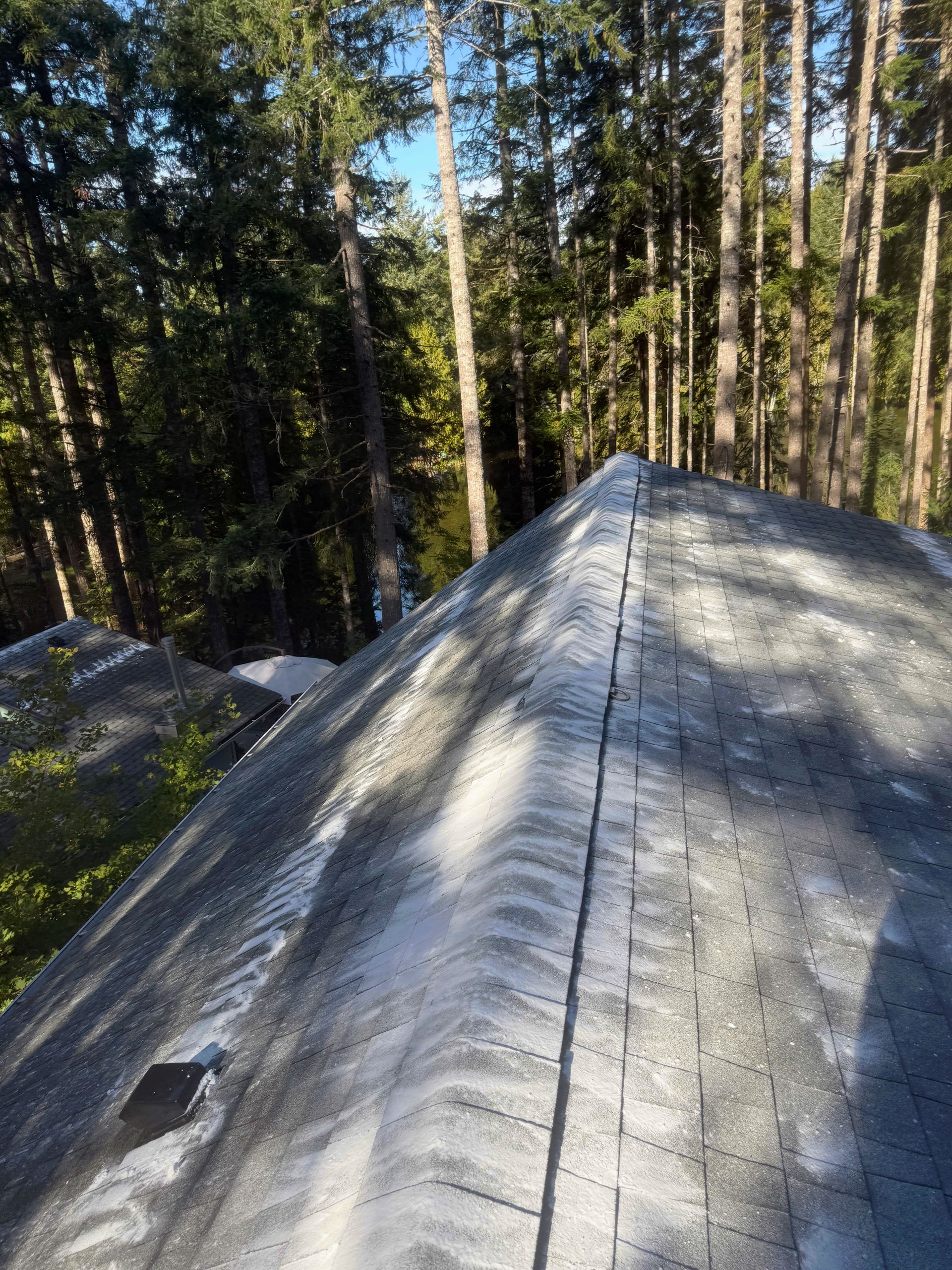 Roof of a house with gray shingles, viewed from above, with forest in the background.