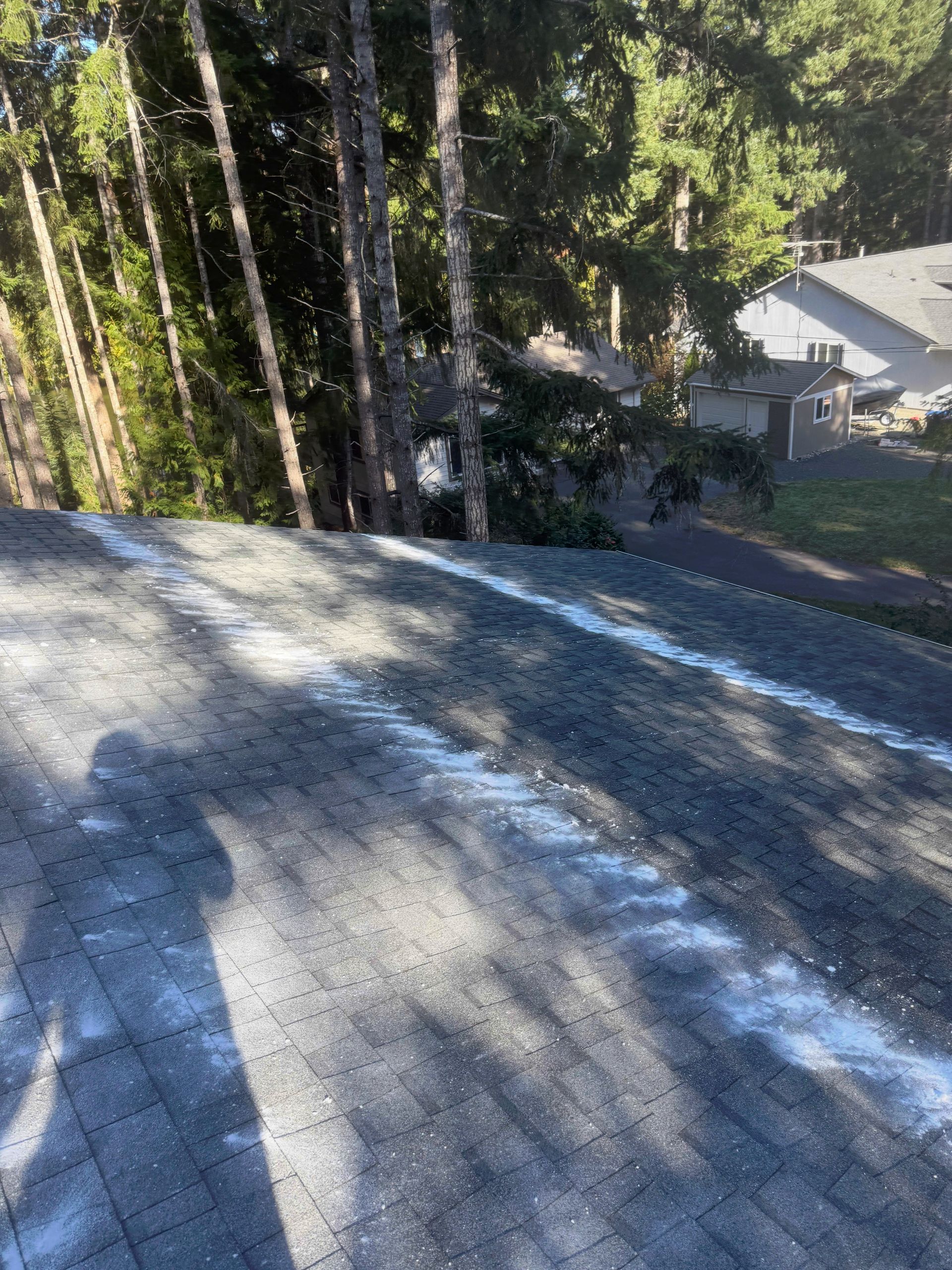 Roof with white streaks, shadowed figures, trees, and houses in the background.