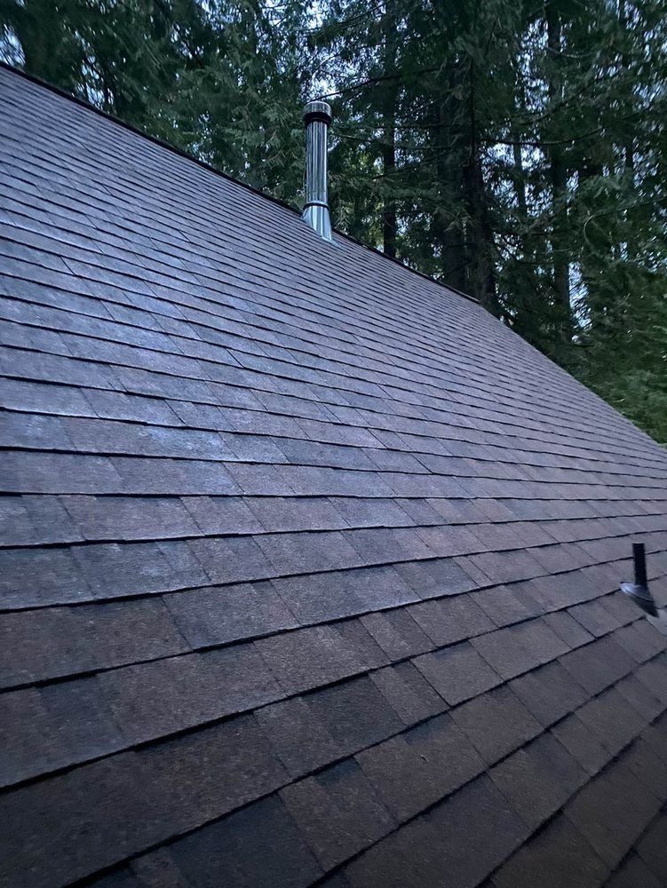 Brown shingled roof with a silver chimney against a backdrop of tall green trees.