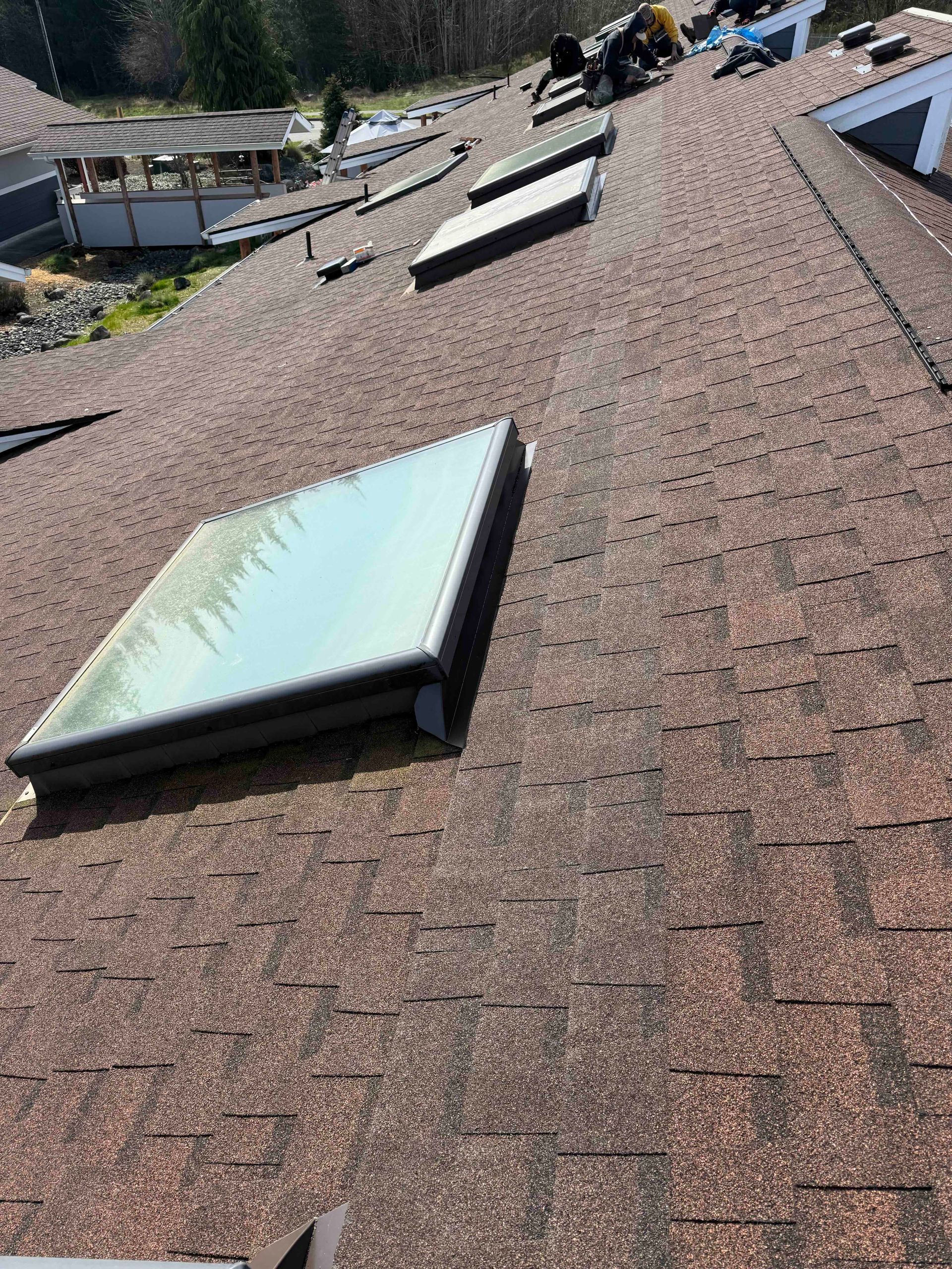 Brown shingled roof with three skylights, viewed from an upward angle.
