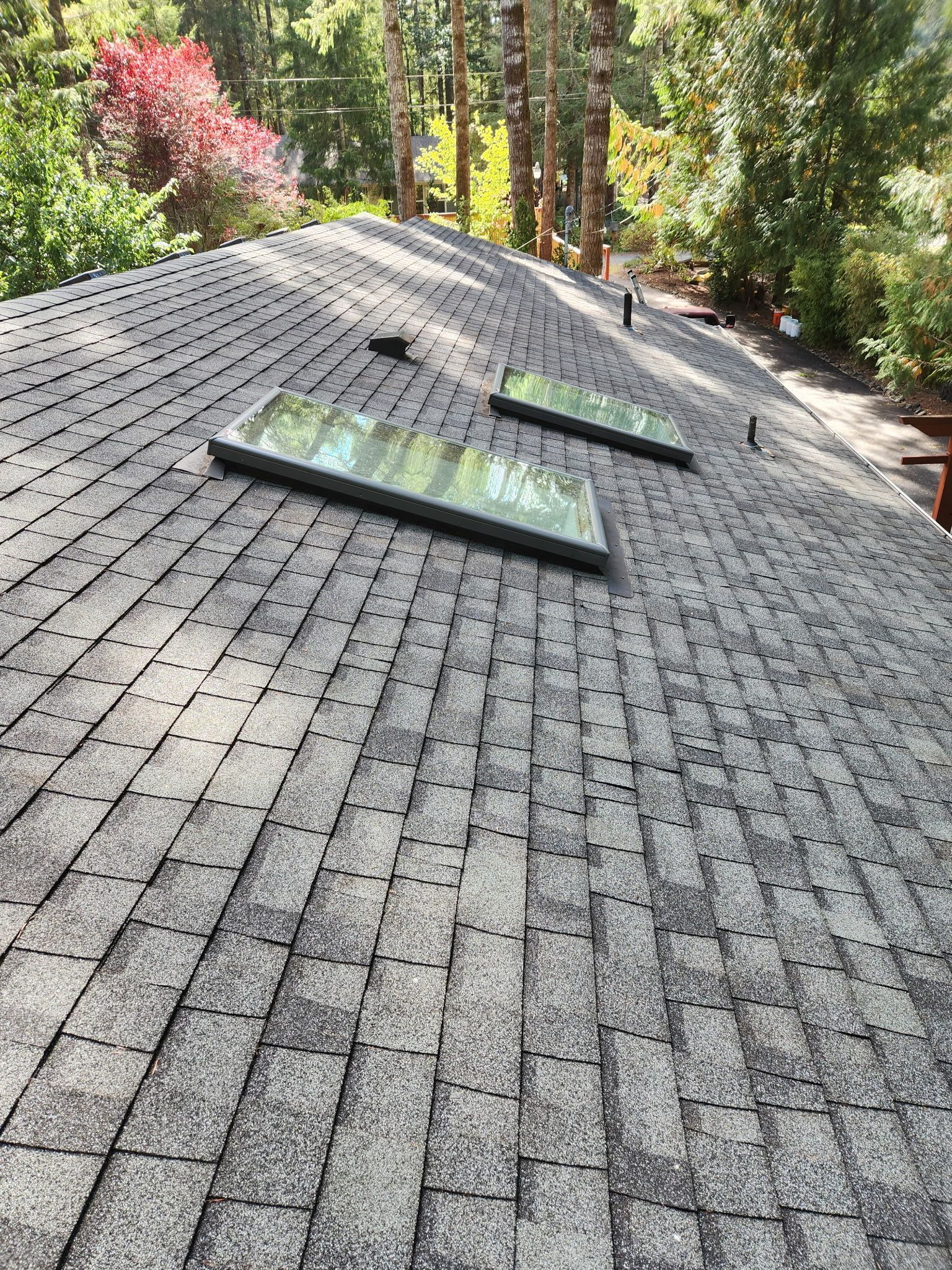 Gray asphalt shingle roof with two rectangular skylights, surrounded by trees.