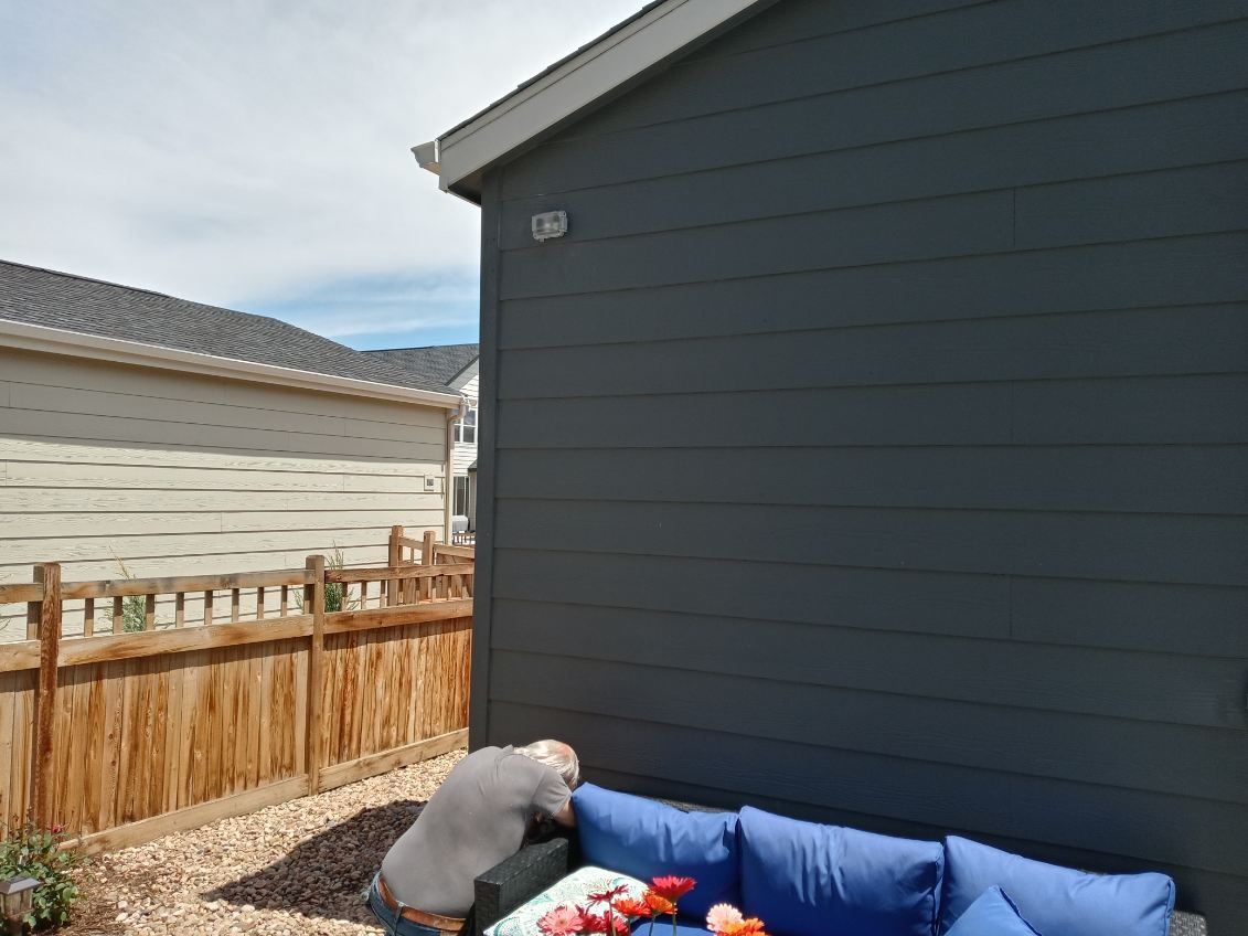 Blue-gray house siding next to a wooden fence, and a blue couch in the yard.