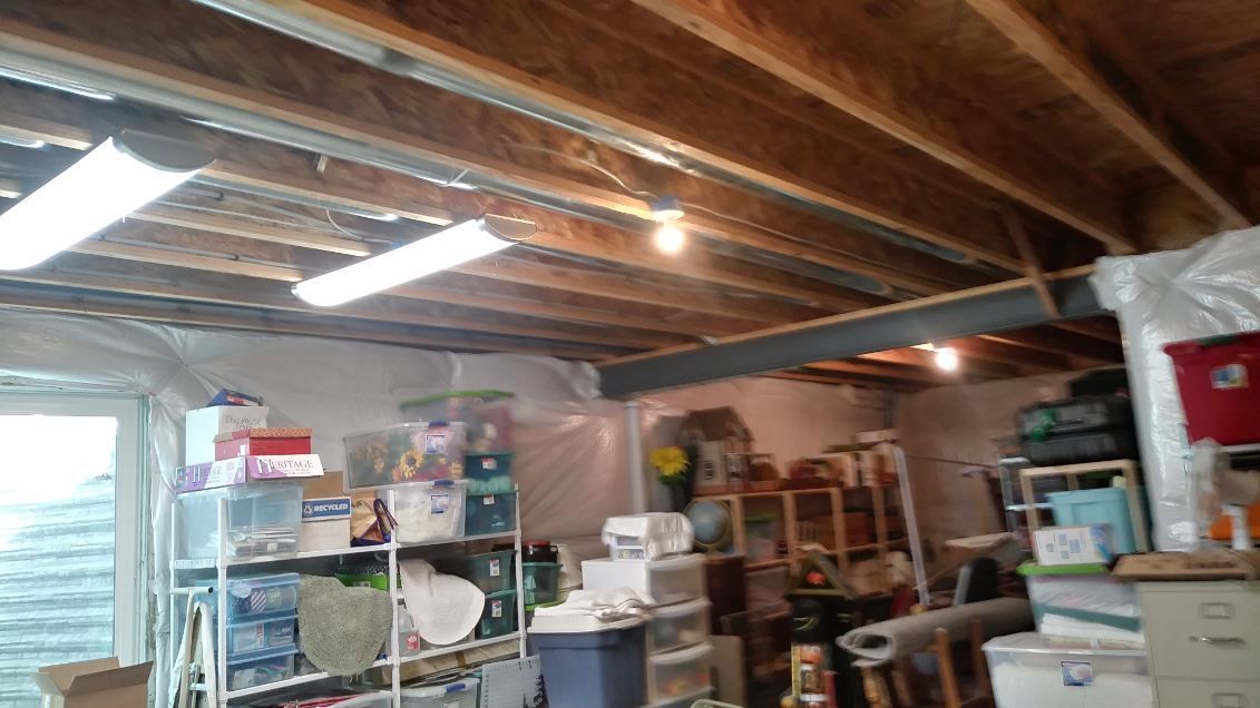 Basement storage with shelves, boxes, exposed ceiling beams, and fluorescent and light bulbs.