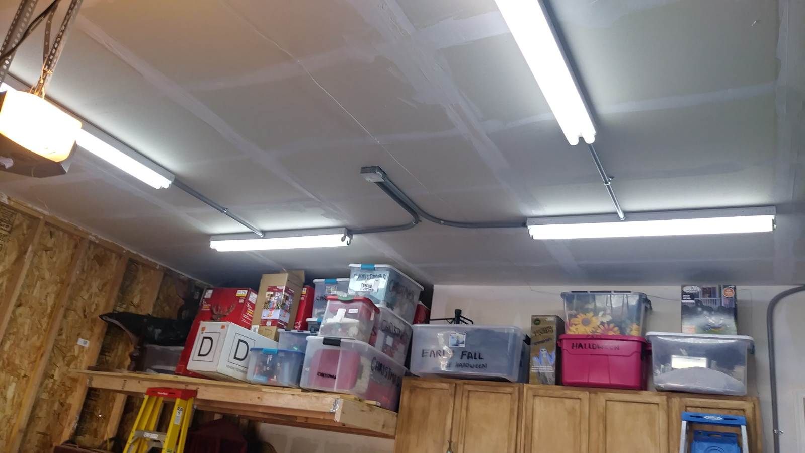 Storage area in a garage, with shelves filled with bins and overhead fluorescent lights.