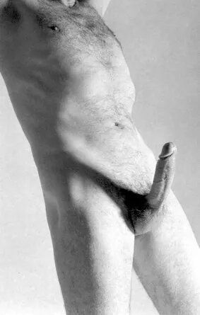 Well-endowed male escort massage therapist masseur for women