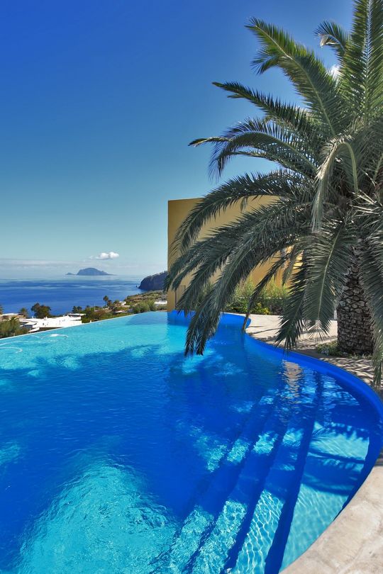 Una piscina con una palma sullo sfondo