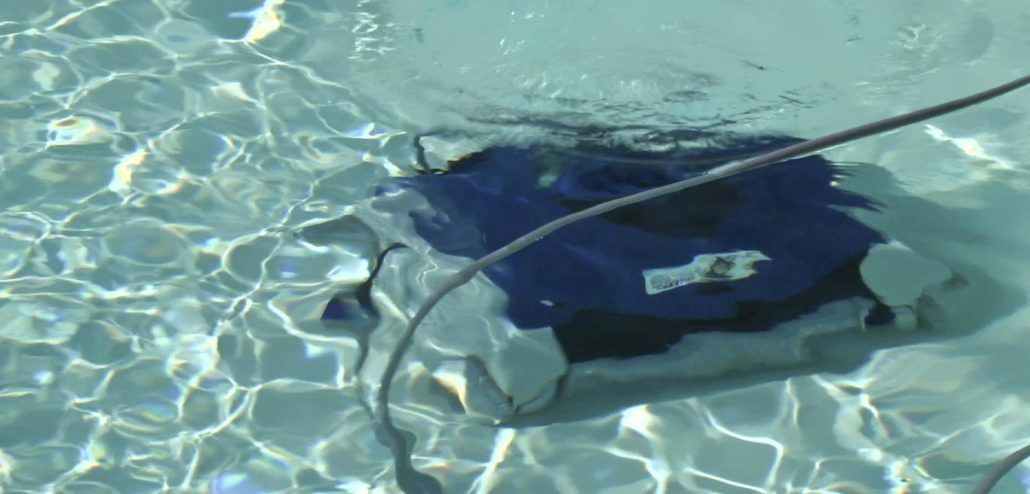 Un robot pulitore per piscine blu e bianco galleggia sulla superficie di una piscina.
