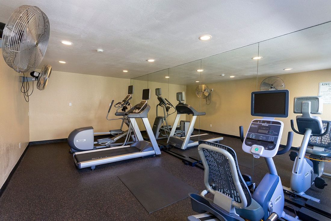 a gym with treadmills ellipticals and an exercise bike