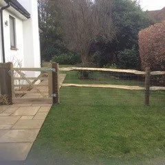 Timber fencing with trellis top