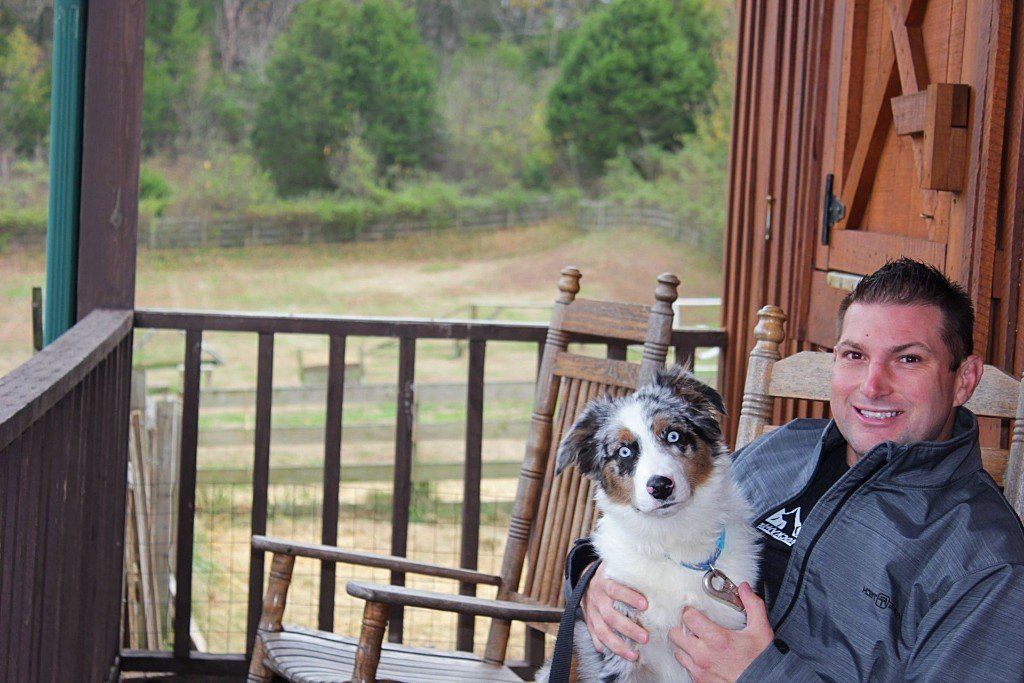 Dog Training Chattanooga