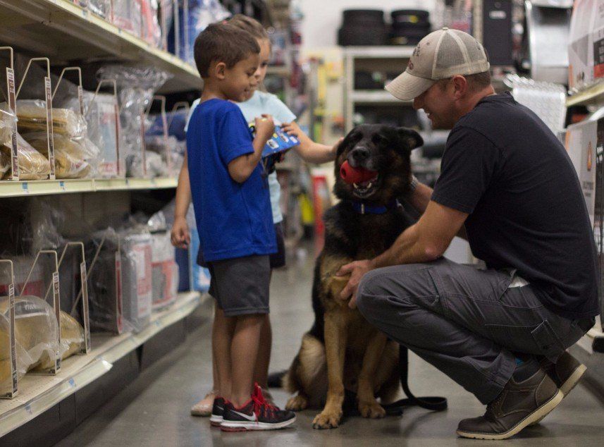 Dog Training Chattanooga