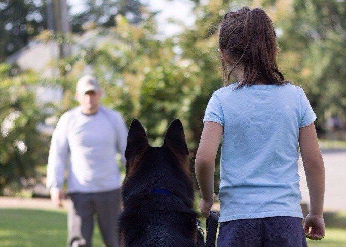 Dog Training Chattanooga