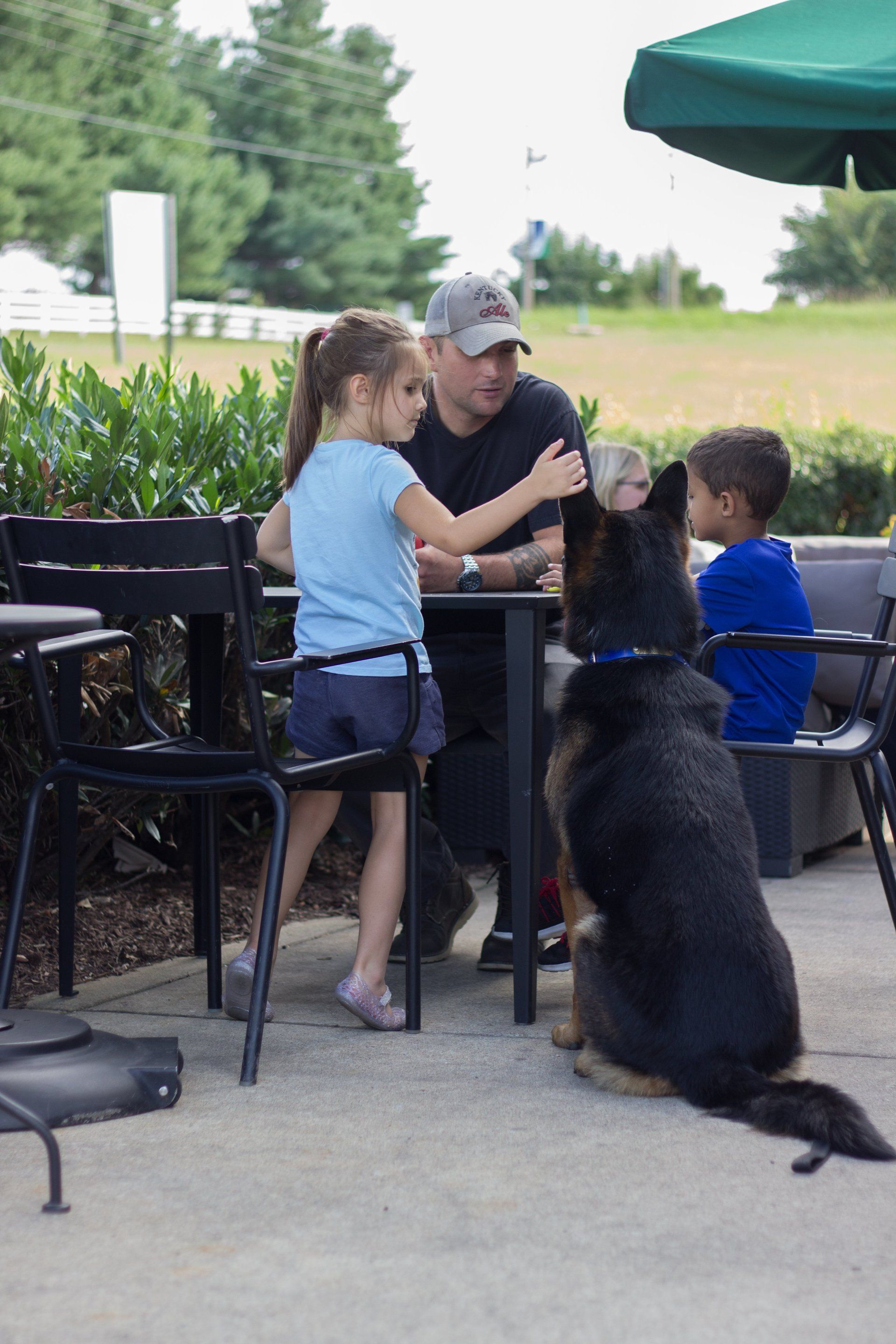 Dog Training Chattanooga