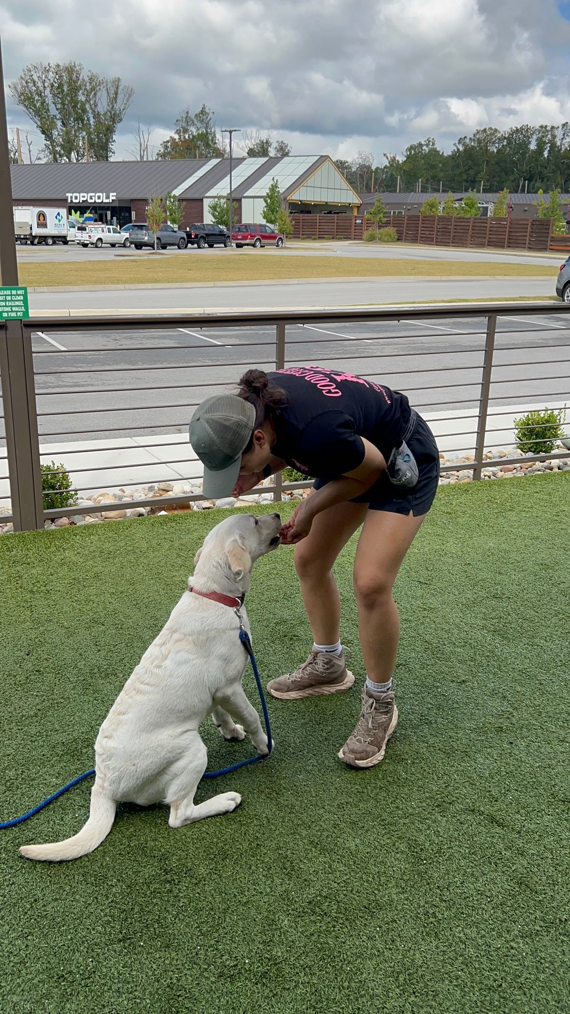 chattanooga dog training courses