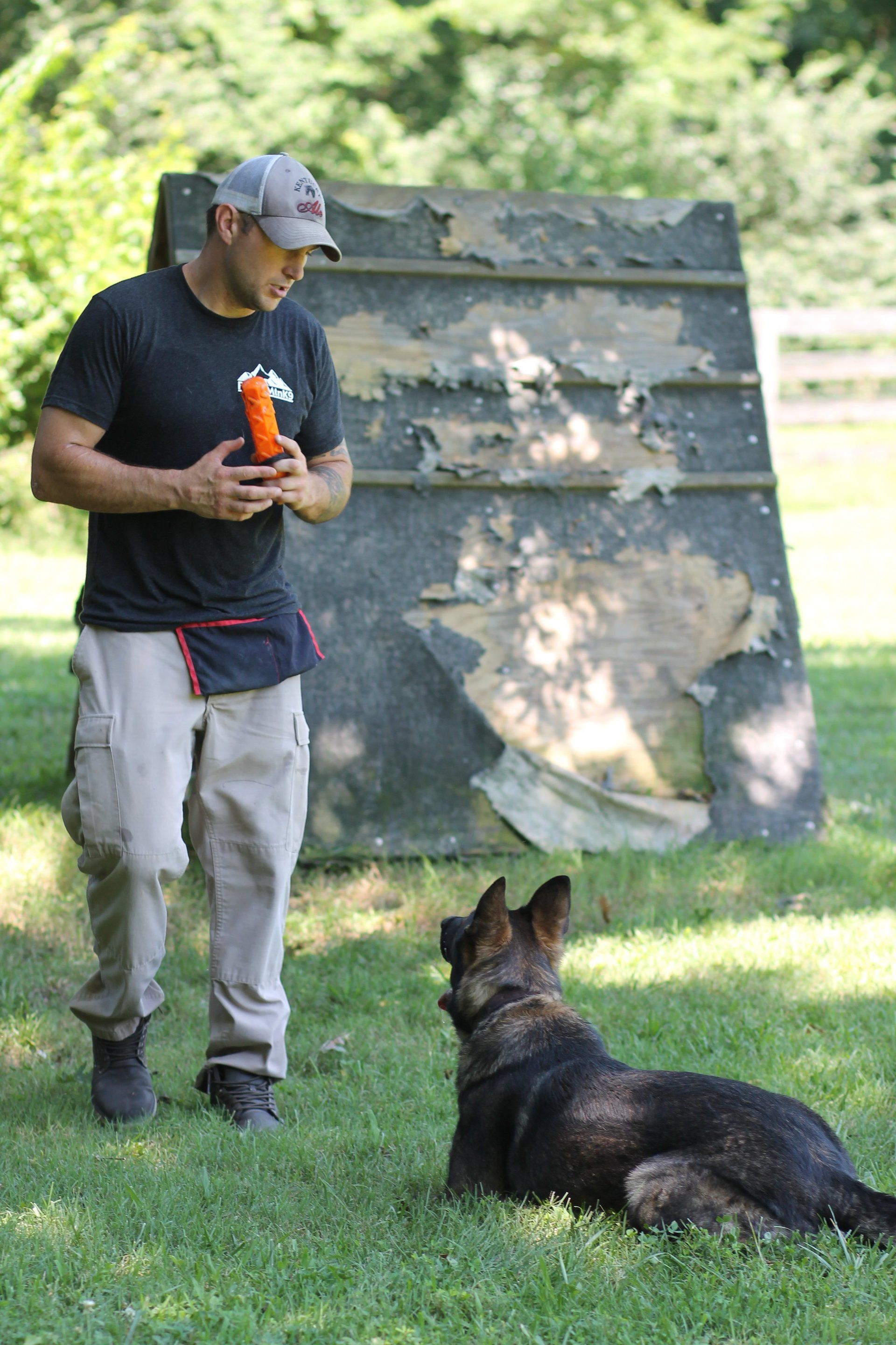 one on one dog training