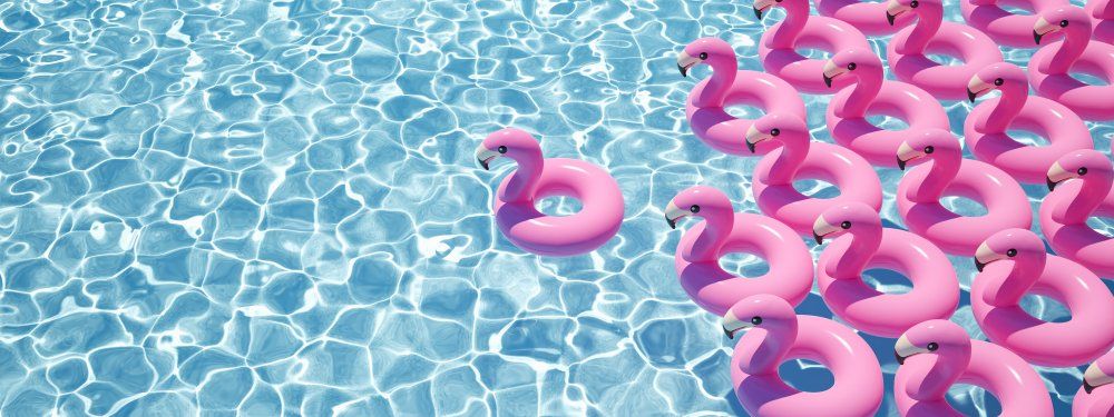 Bunch of Inflatable pink flamingos are floating in a swimming pool — Pool Equipment Installation in Kewarra Beach QLD
