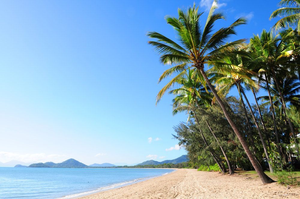 Palm Trees line a White Sandy Beach — Pool Cleaning in Palm Cove, QLD