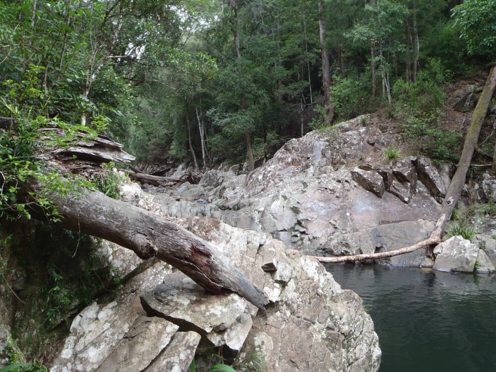 Tranquil Forest Stream Flowing Over Smooth Stones — Pool Cleaning in Redlynch, QLD