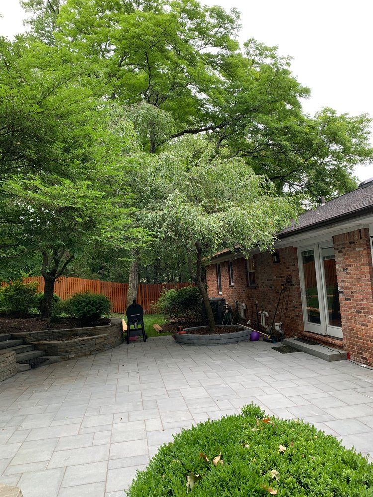 Brick patio with trees, a small bush, and a brick house.