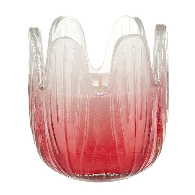 Seasonal Gift Ideas for Albany, NY