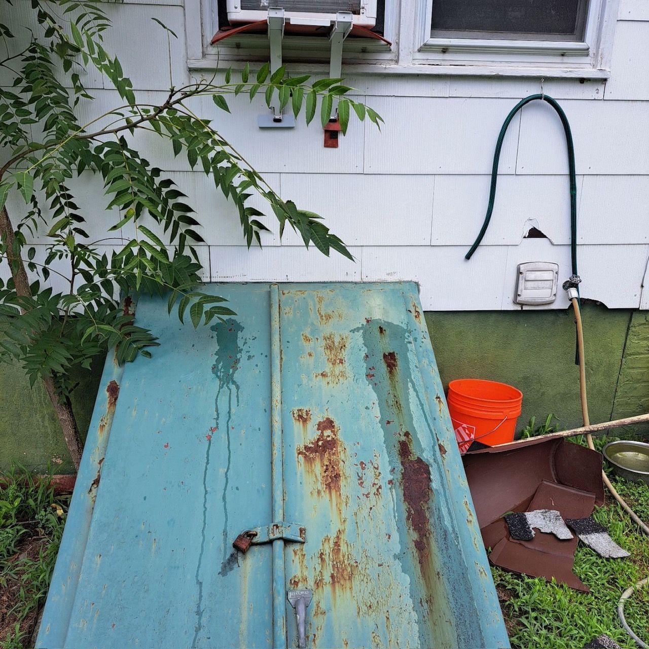 Weathered blue basement doors next to a white house with a window and a green hose.