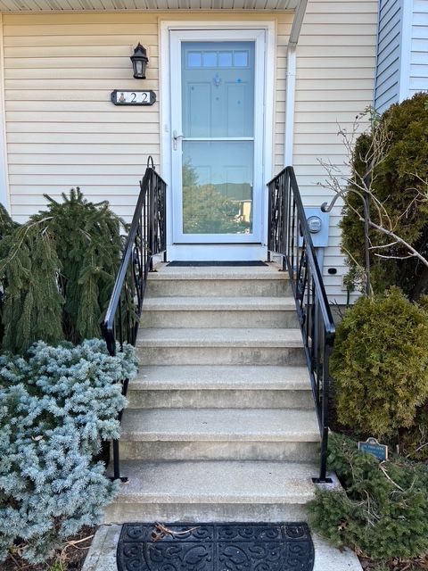 Exterior view of a house's front entrance, concrete steps with black handrails leading to a glass door.