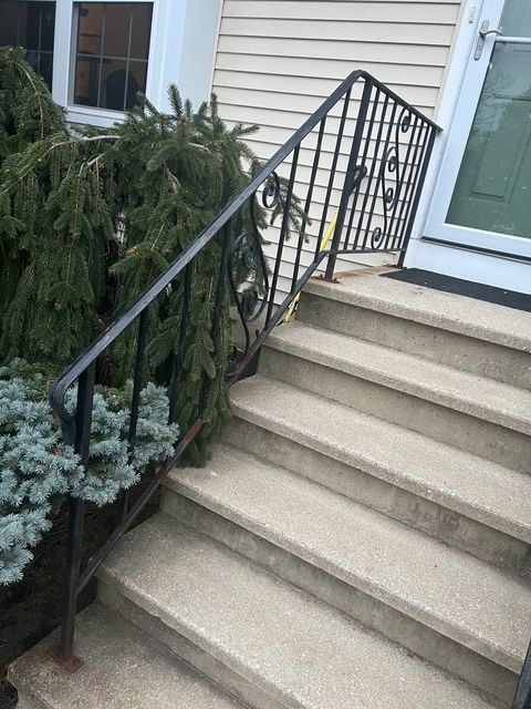 Concrete steps leading to a front door with a black iron railing, next to bushes.