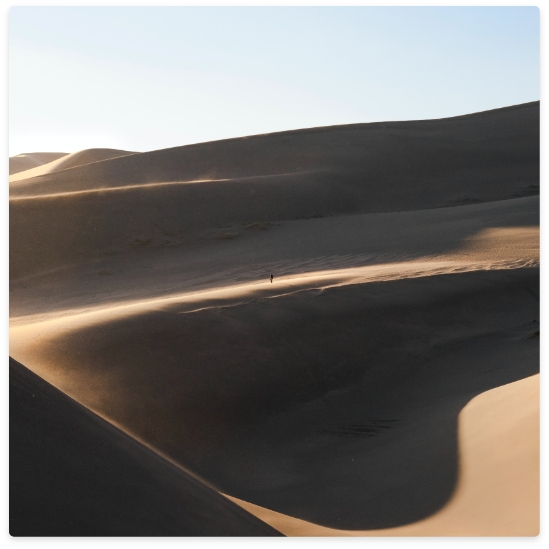 Sand dunes, with shadows and sunlight creating contrasting light and dark areas.