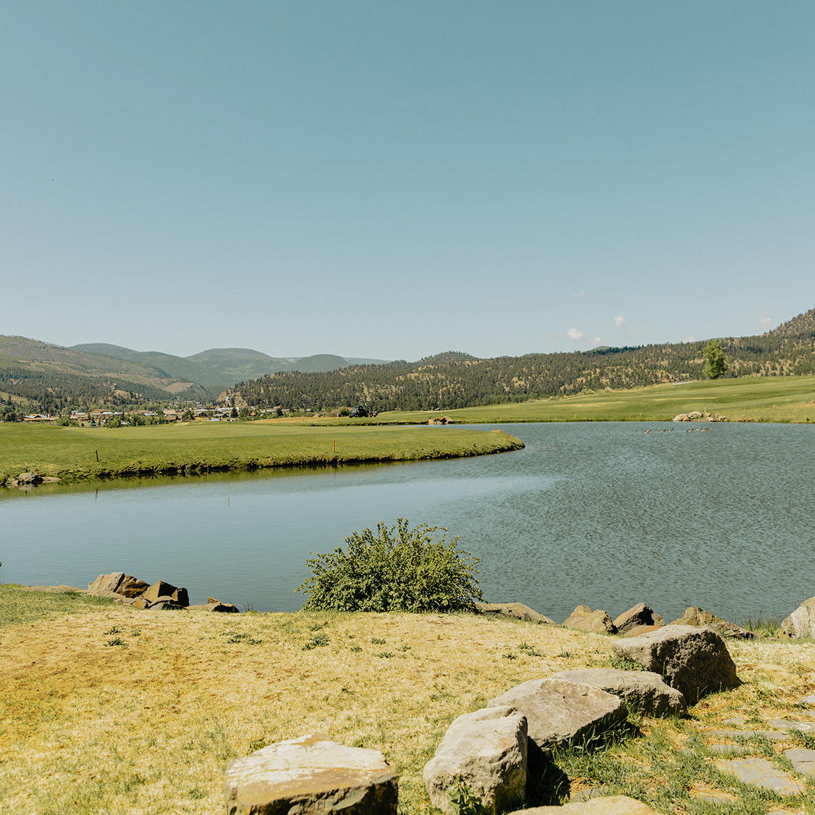 Lakeside view with blue water, green grass, and hills under a clear, sunny sky.