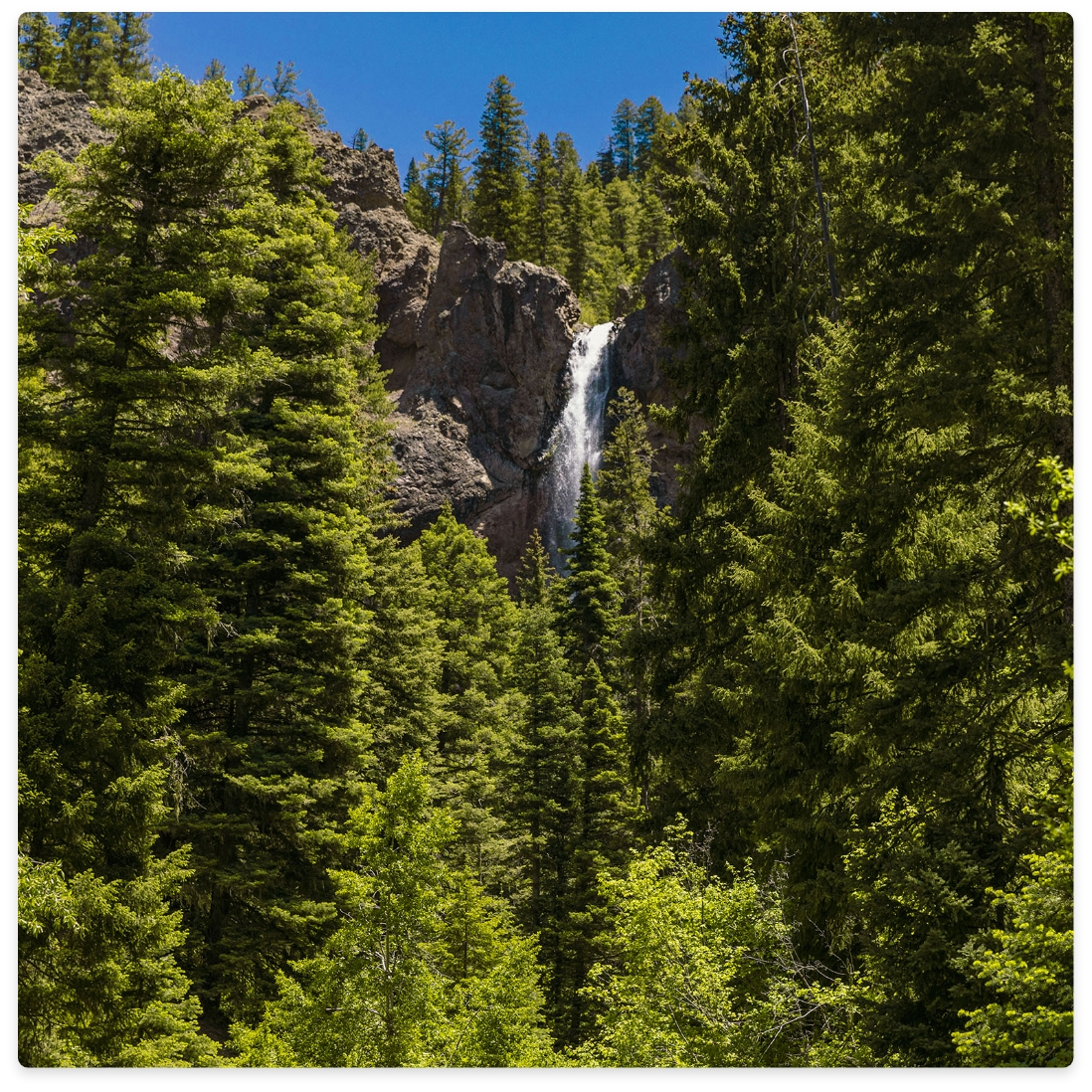 Waterfall cascades through forest of tall green trees under a blue sky.