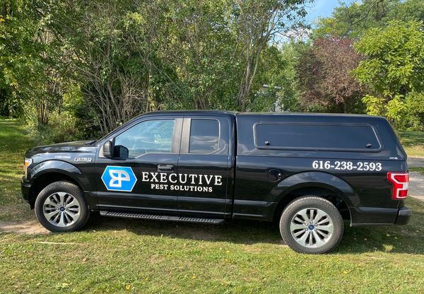 A black truck with the word executive on the side is parked in the grass.